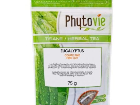 Phytovie - eucalyptus leaf bulk herbal tea - 100g Online Hot Sale