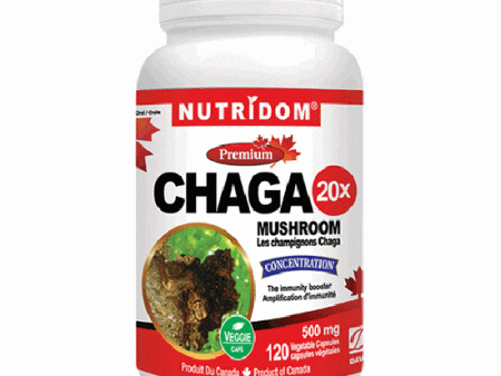 Chaga 20x Online now