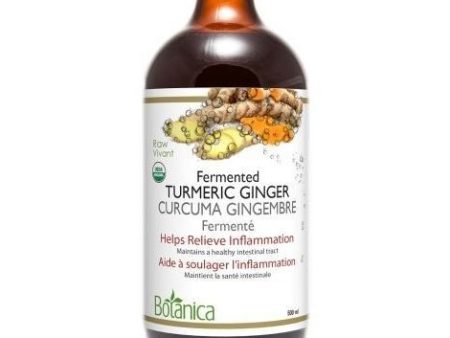 Fermented Turmeric Ginger (Certified Organic) For Sale